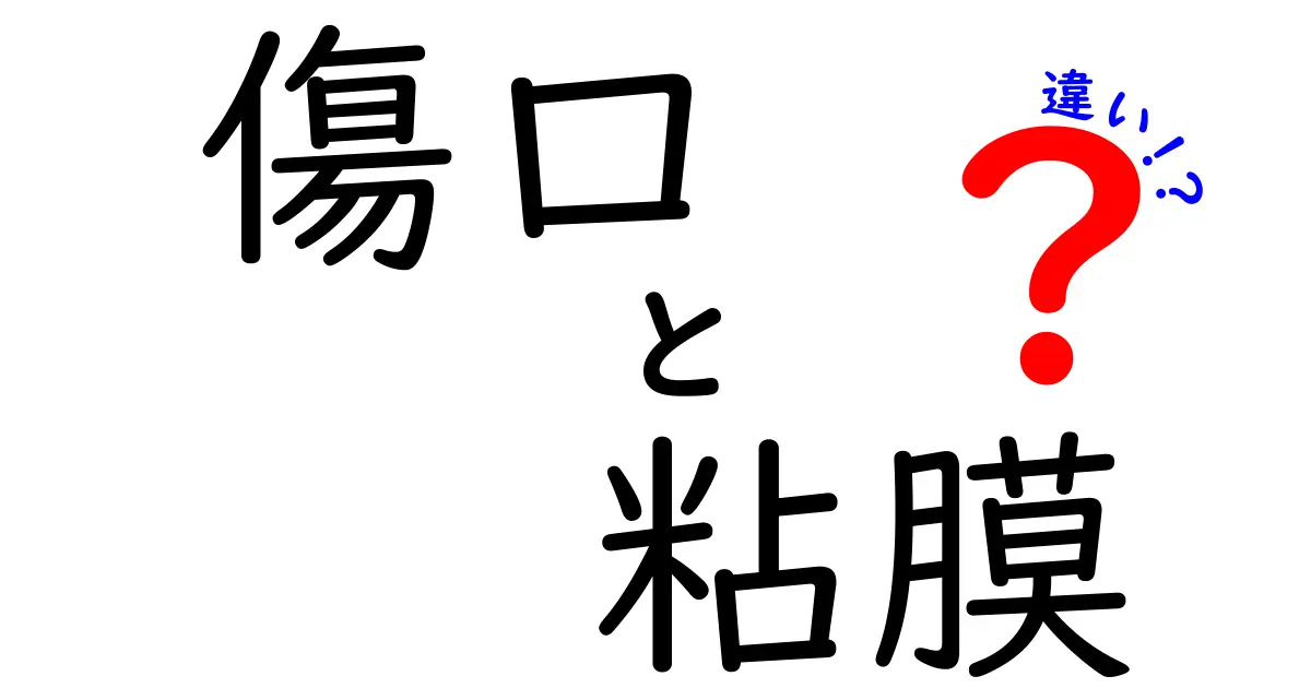 傷口と粘膜の違いを徹底解説！日常ケアのポイントをわかりやすく