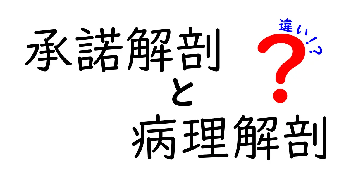 承諾解剖と病理解剖の違いを徹底解説!誰がどう決めるのか、手続きと倫理をわかりやすく解説