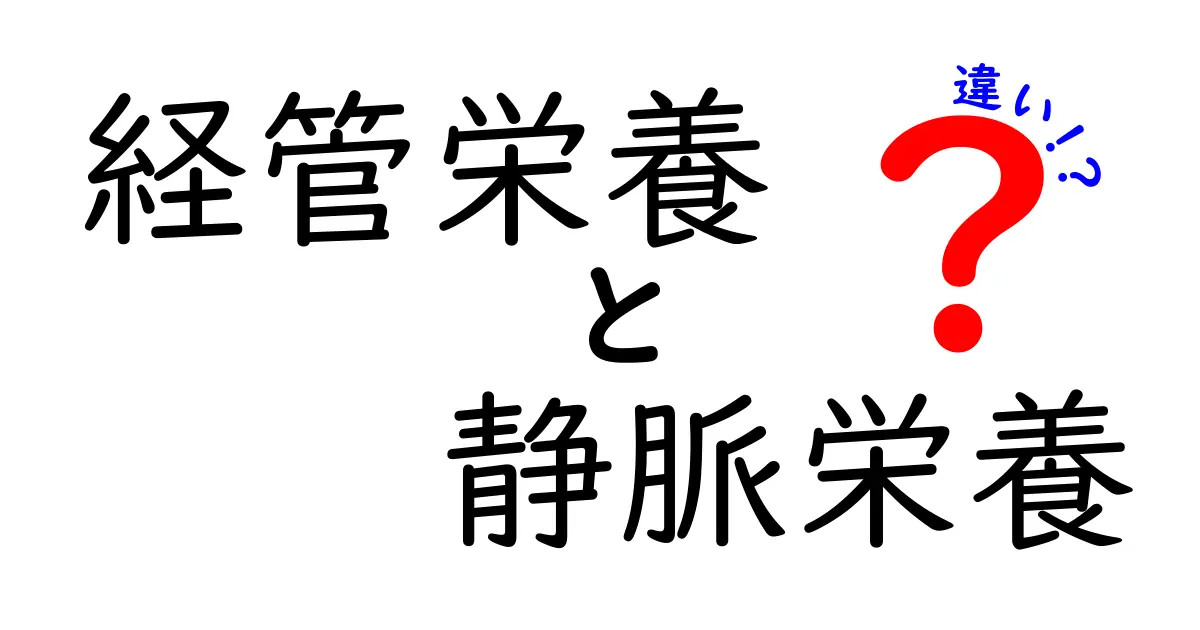 経管栄養と静脈栄養の違いをわかりやすく解説!中学生にも理解できる選び方ガイド