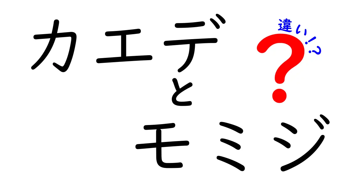 カエデとモミジの違いを徹底解説！名前の意味と見分け方、秋の楽しみ方まで完全ガイド
