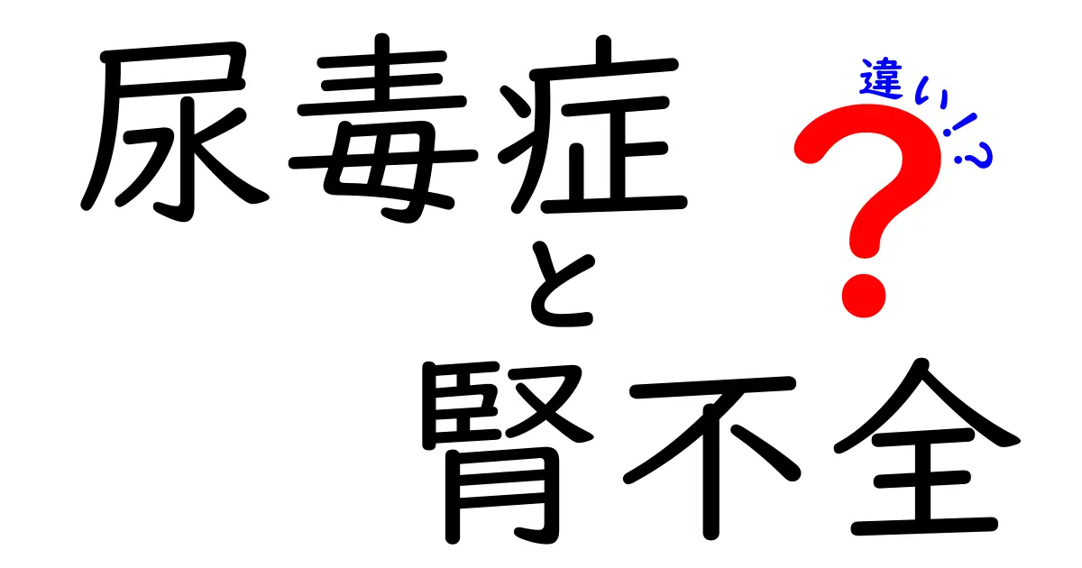 尿毒症と腎不全の違いをわかりやすく解説!中学生にも伝わる見分け方と日常のポイント