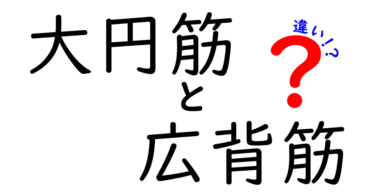大円筋と広背筋の違いを図解で理解!中学生でもわかるやさしい解説