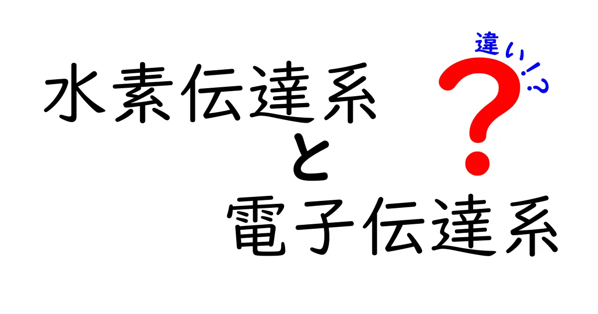 水素伝達系と電子伝達系の違いを徹底解説!中学生にもわかる仕組みと役割