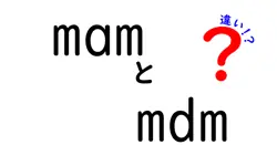 MAMとMDMの違いを徹底解説！中学生にもわかる簡単ガイド
