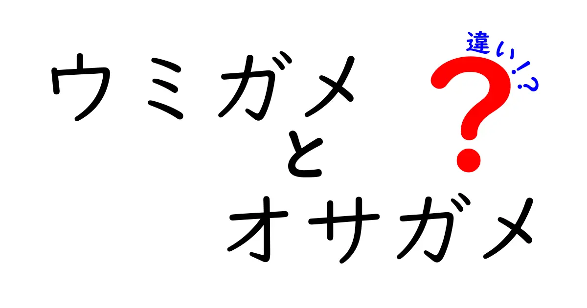 ウミガメとオサガメの違いを徹底解説！見分け方と生態の秘密を中学生にもわかりやすく