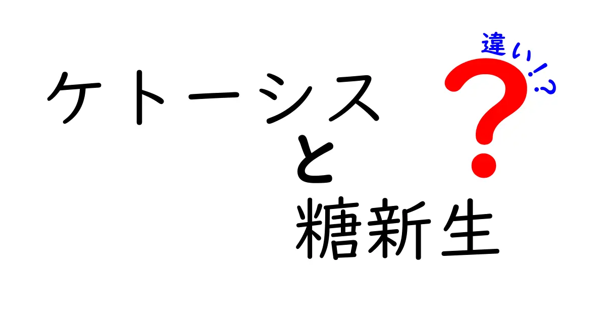 ケトーシスと糖新生の違いを徹底解説|中学生にも分かる図解付き