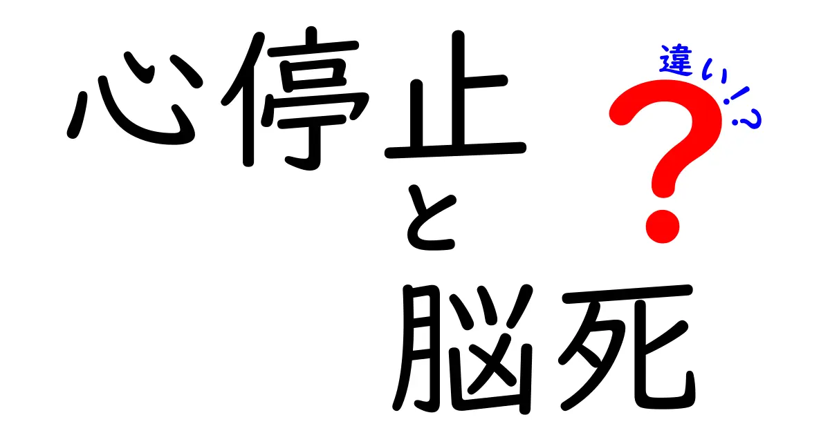 心停止と脳死の違いを徹底解説：正しい理解が命と向き合う第一歩