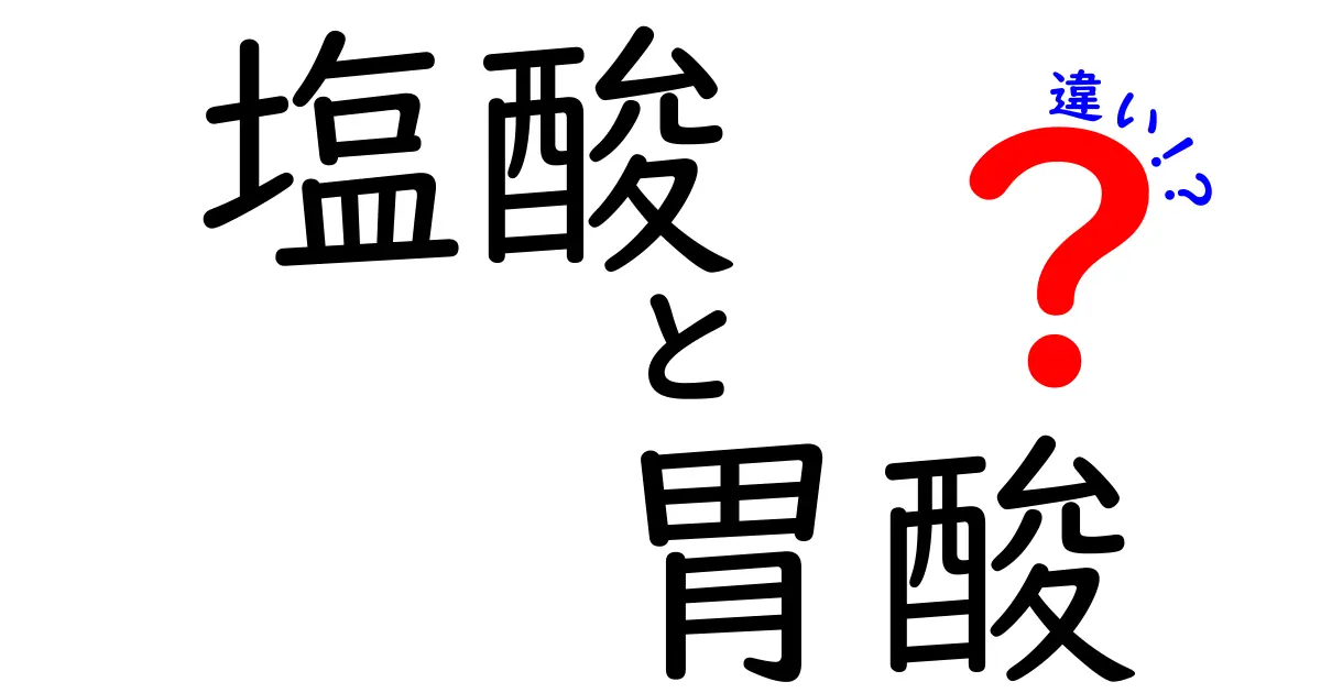 塩酸と胃酸の違いを徹底解説 中学生にもわかる違いと役割