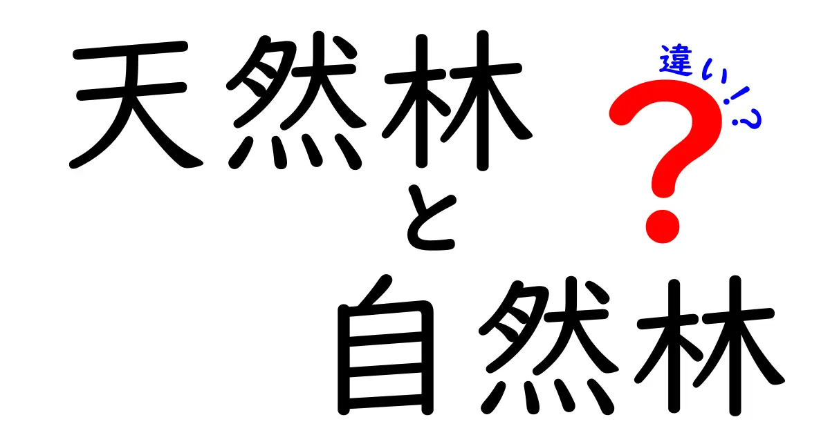 天然林と自然林の違いを解き明かす！中学生にも分かる図解と見分け方ガイド