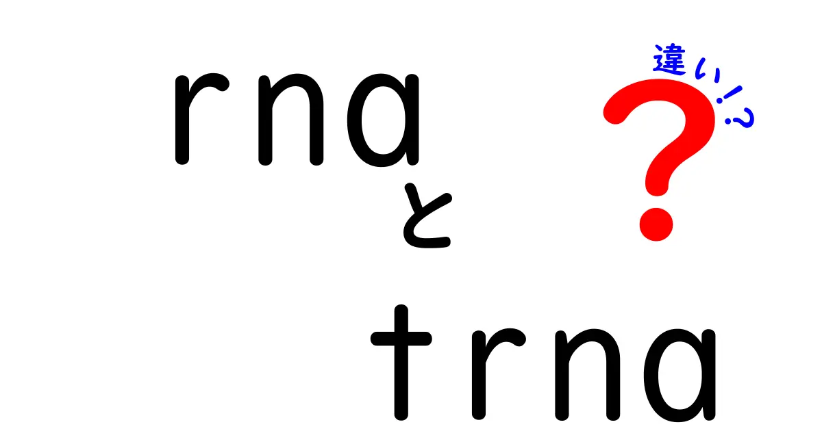 RNAとtRNAの違いを徹底解説!初心者にも分かる違いと役割の全体像