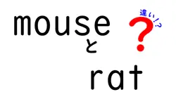 mouseとratの違いを徹底解説!見た目・習性・飼育のポイントまでわかる完全ガイド