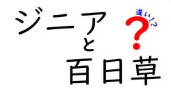 ジニアと百日草の違いを徹底解説|名前の由来と花を見分けるポイント