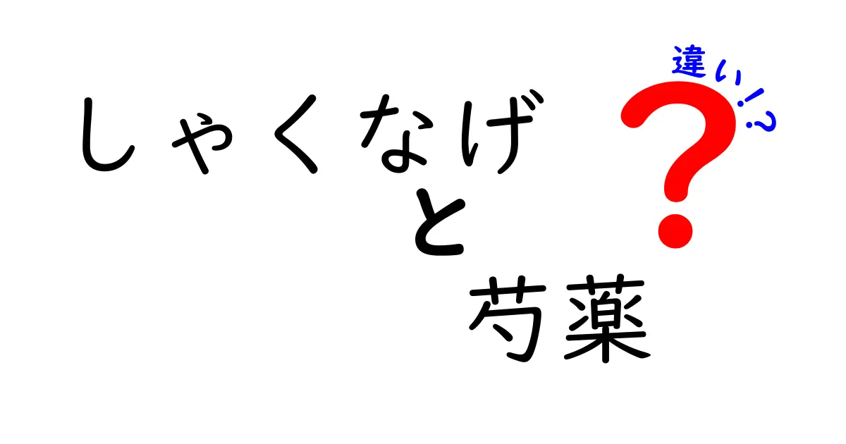 しゃくなげと芍薬の違いを完全ガイド:名前の由来から花の形・見分け方まで