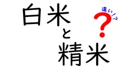 白米と精米の違いを徹底解説!料理別の選び方と栄養の実用ガイド