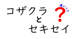 コザクラとセキセイの違いは？