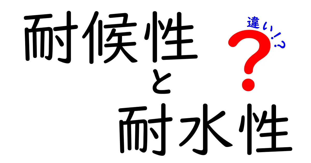 耐候性と耐水性の違いを徹底解説！どっちが何に強いの？