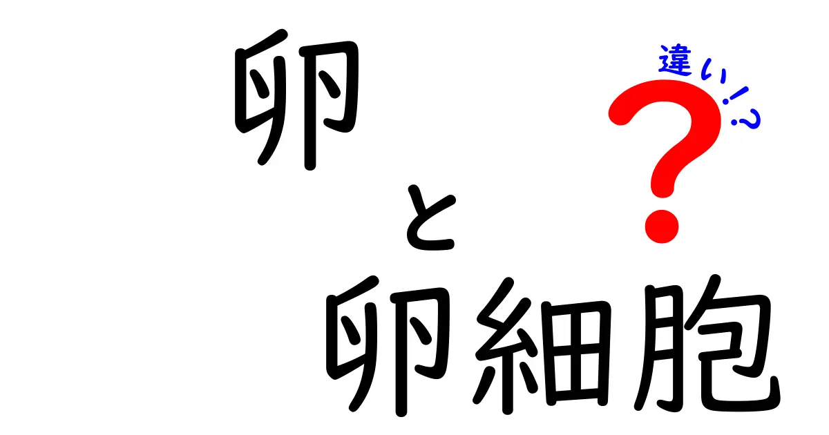 卵と卵細胞の違いとは？それぞれの役割をわかりやすく解説！