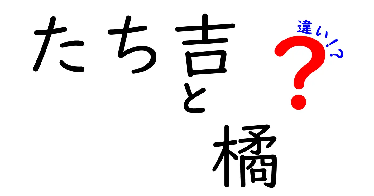 たち吉と橘の違いを徹底解説！あなたの知らない日本の伝統がここに