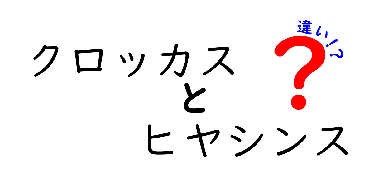 クロッカスとヒヤシンスの違いとは？花の特徴や育て方を徹底解説！