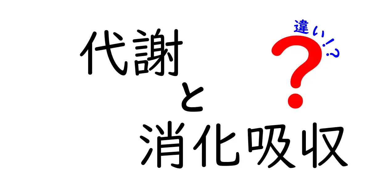 代謝と消化吸収の違いを分かりやすく解説！あなたの体の仕組みを理解しよう