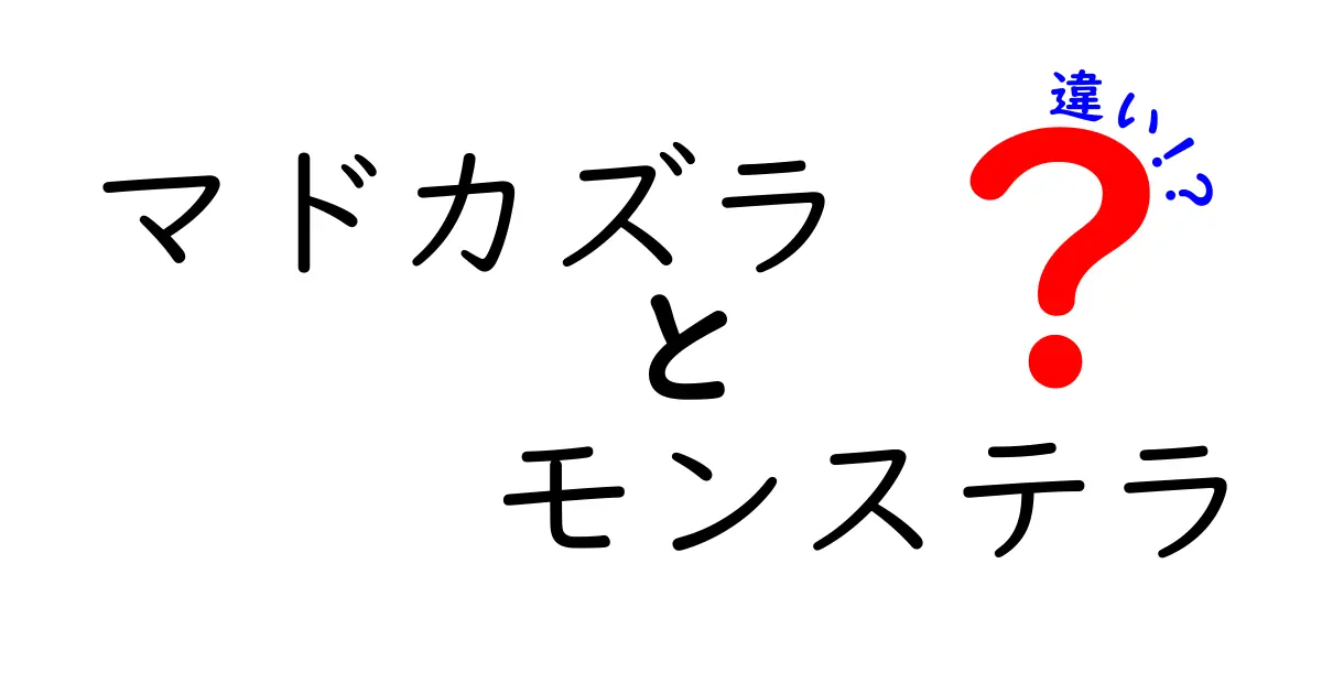 マドカズラとモンステラの違いを徹底解説！どちらが育てやすい？