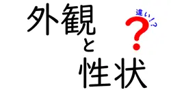外観と性状の違いは？