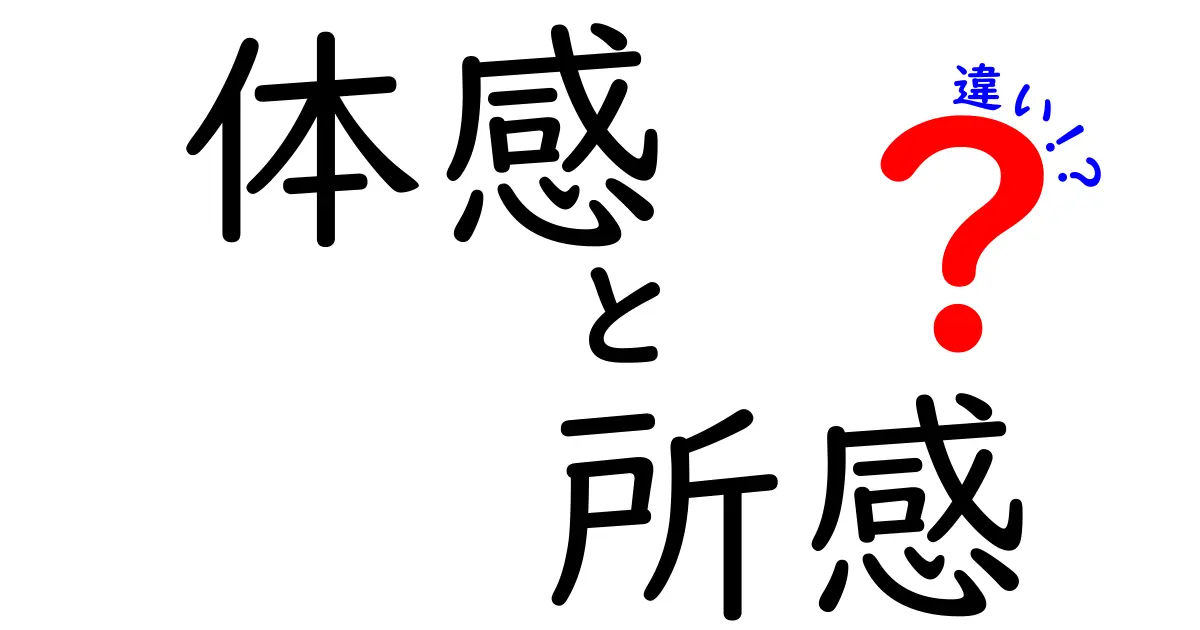 「体感」と「所感」の違いをわかりやすく解説！あなたはどちらを使う？