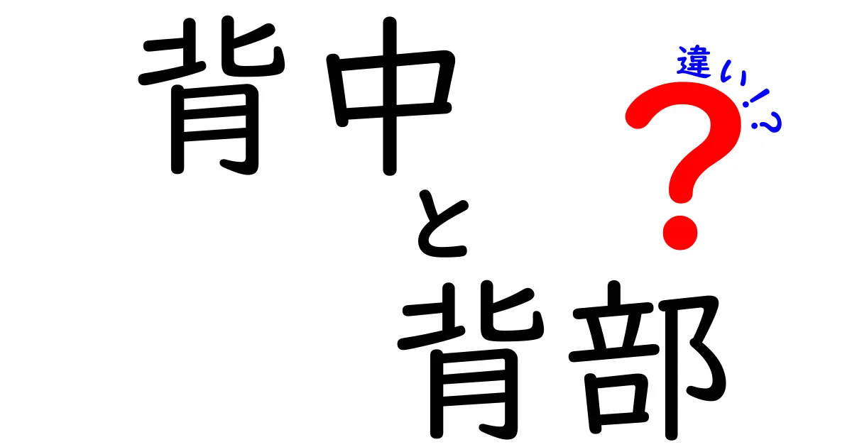 背中と背部の違いを徹底解説！身体の部位をあらためて理解しよう