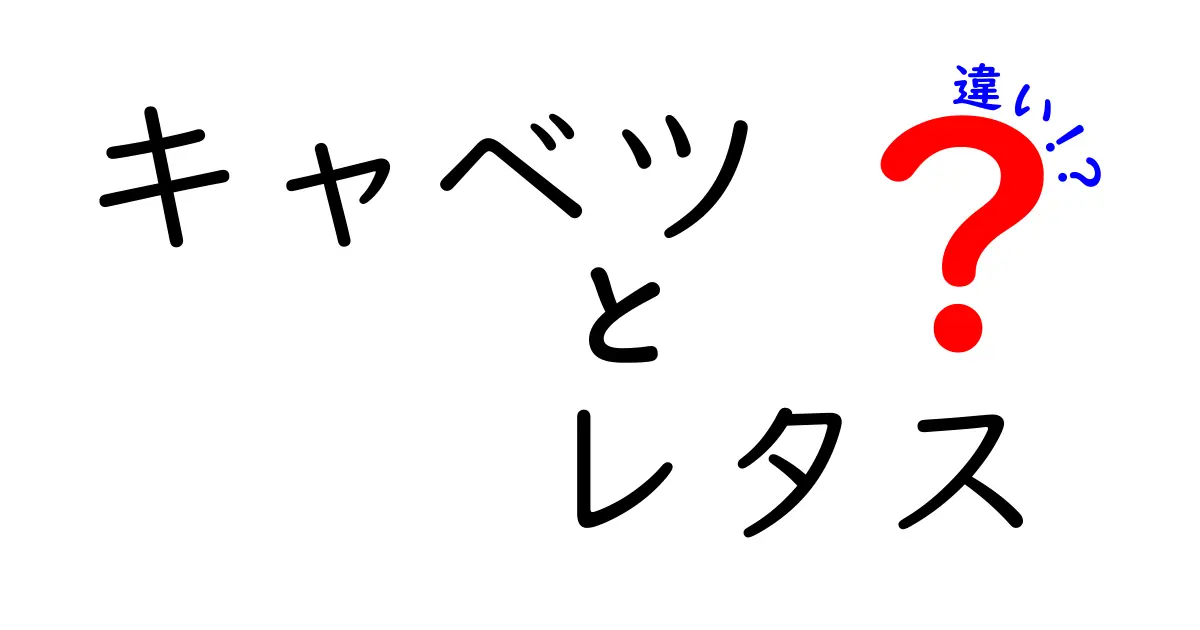 キャベツとレタスの違いを知ろう！見た目や味、栄養価の違いを徹底解説！