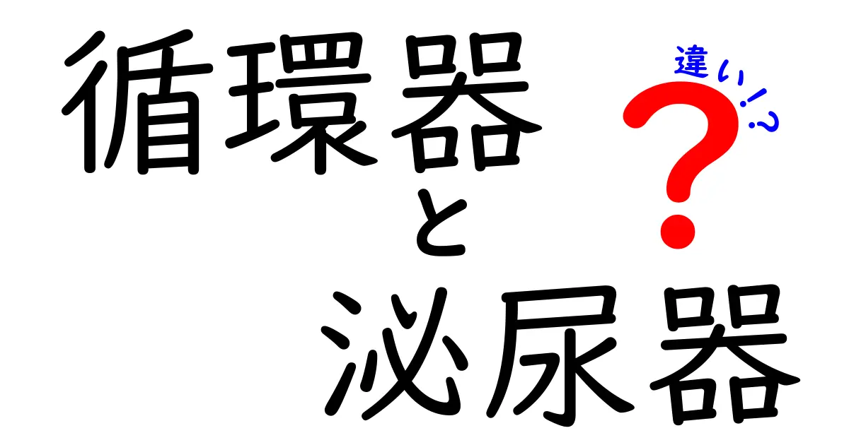 循環器と泌尿器の違いとは？それぞれの役割をわかりやすく解説