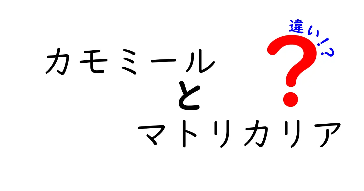 カモミールとマトリカリアの違いとは？簡単に解説します！