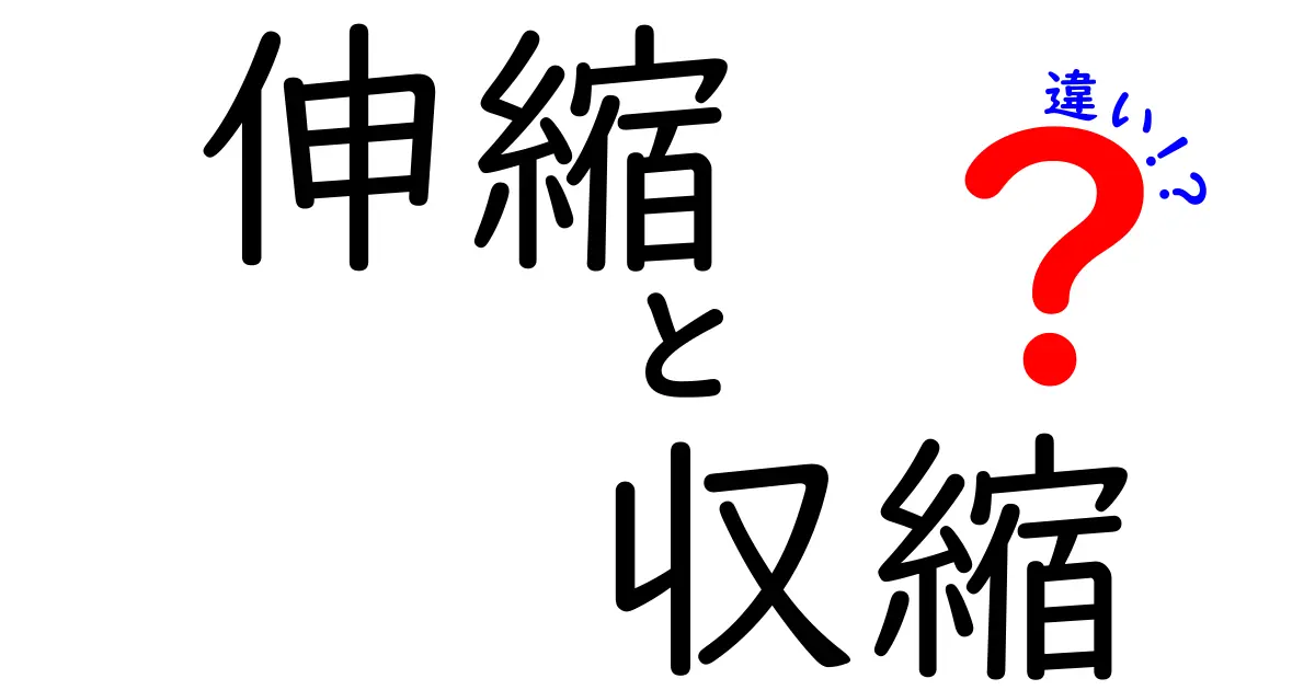 「伸縮」と「収縮」の違いをわかりやすく解説！