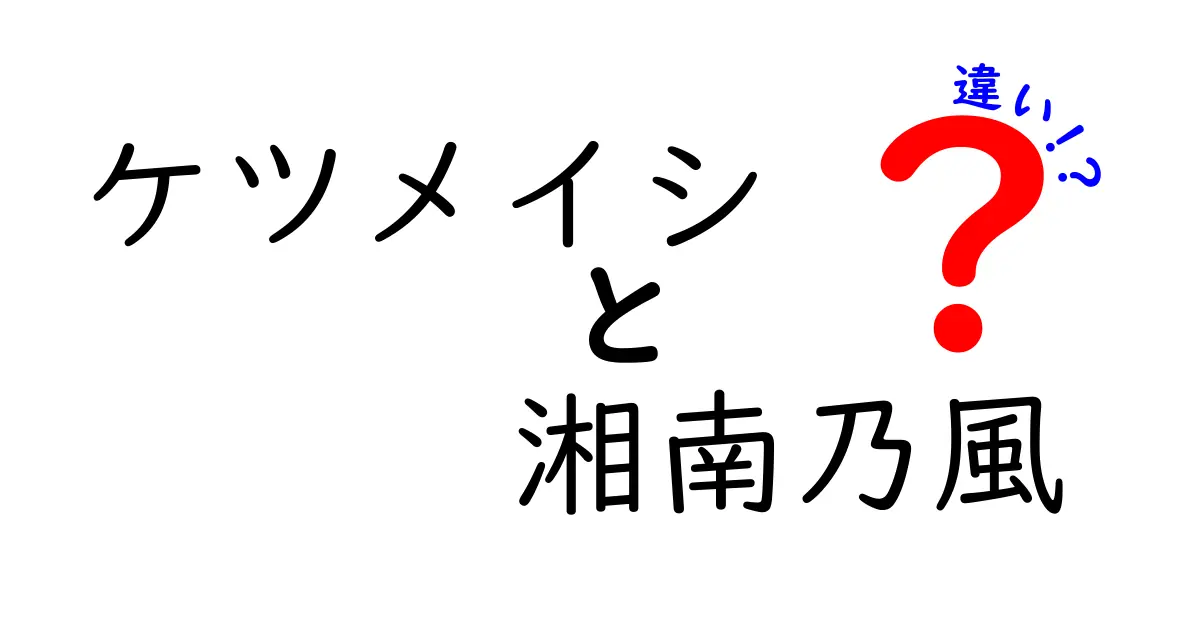 ケツメイシと湘南乃風の違いとは？音楽スタイルやメンバーを徹底解説！