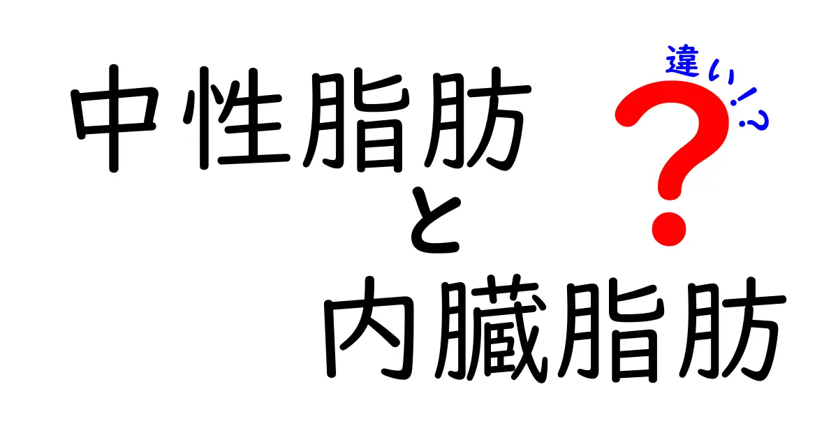 中性脂肪と内臓脂肪の違いを分かりやすく解説！どちらが危険なのか？