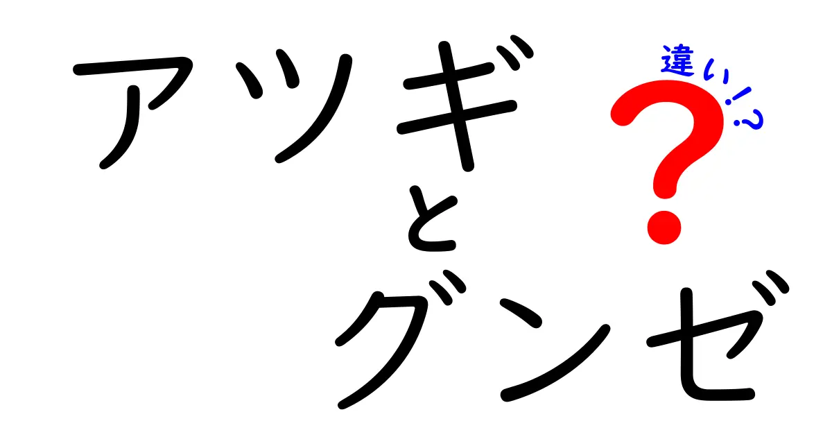 アツギとグンゼの違いを徹底解説！あなたにあった靴下選びのために