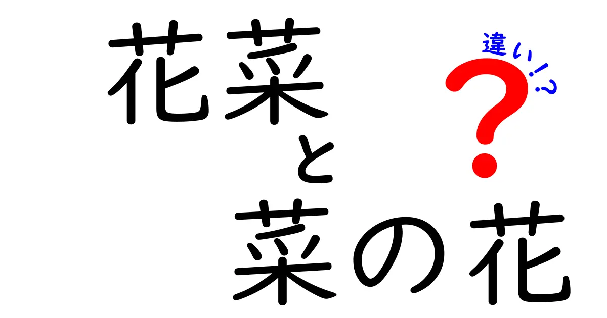 花菜と菜の花の違いを徹底解説！あなたは知ってる？