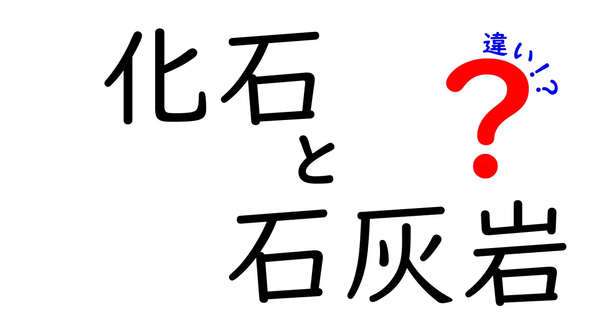 化石と石灰岩の違いを知ろう!誰でもわかる解説