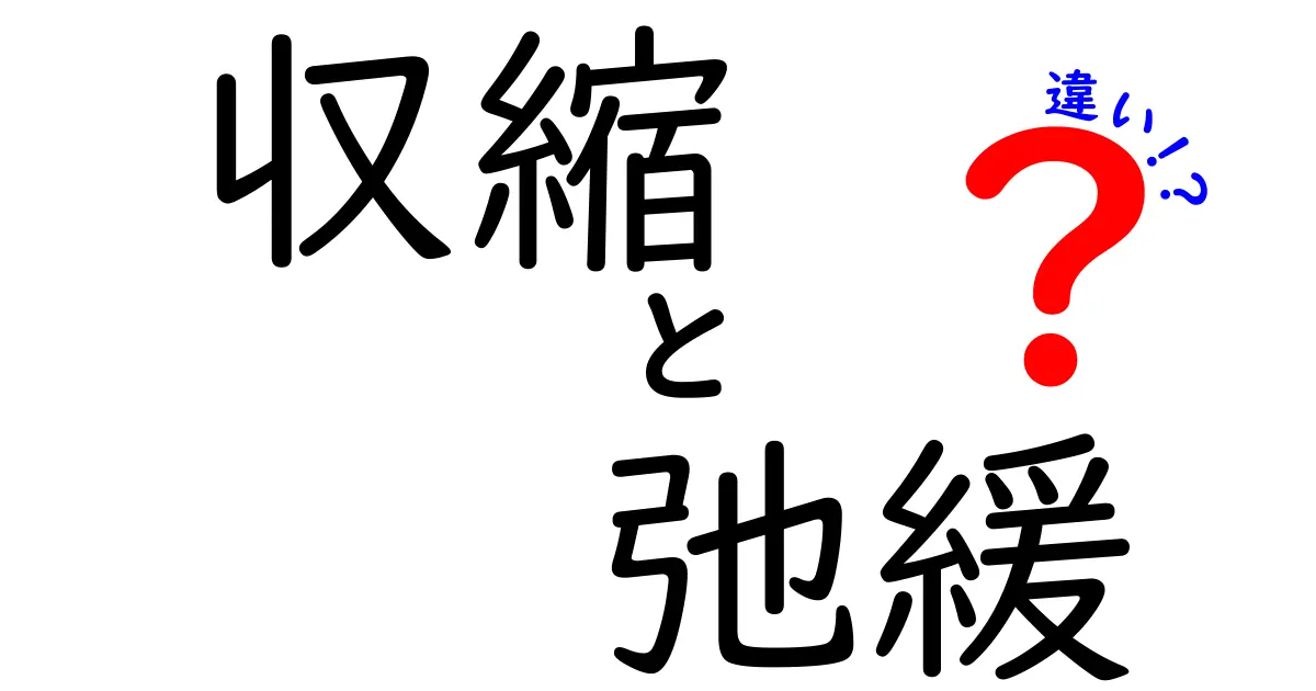 収縮と弛緩の違いをわかりやすく解説!体や物理の基本を学ぼう