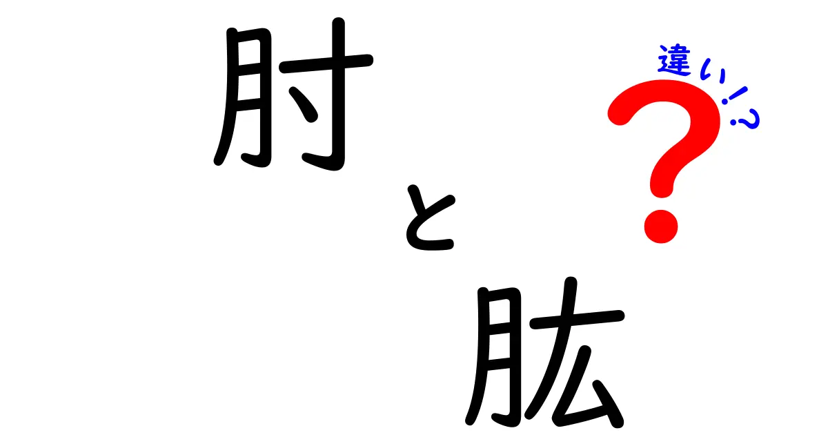 肘と肱の違いを徹底解説！あなたの体のこと、もっと知ろう！