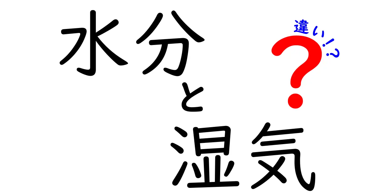 水分と湿気の違いを徹底解説！あなたの生活に潜む二つの要素とは？