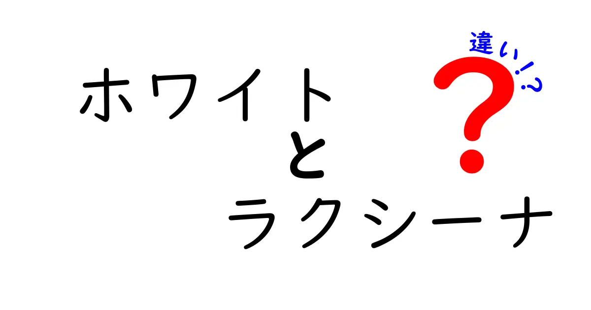 ホワイトラクシーナの違いとは？あなたのキッチンに最適な選択を知ろう