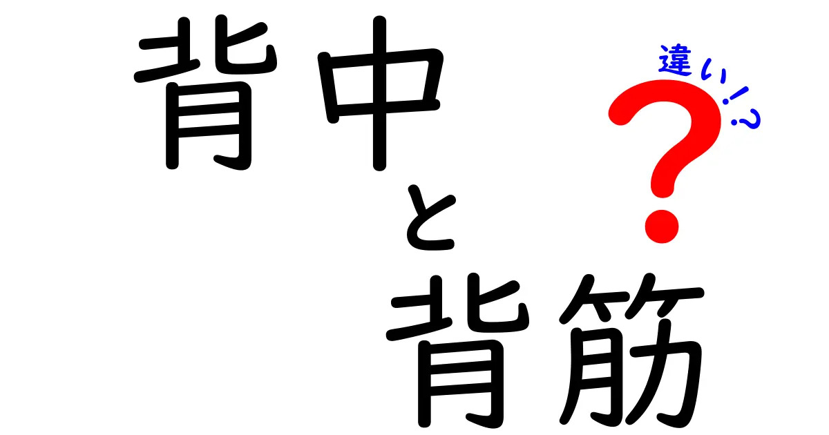 背中と背筋の違いとは？知っておきたい体の基本