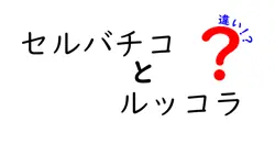 セルバチコとルッコラの違いは？