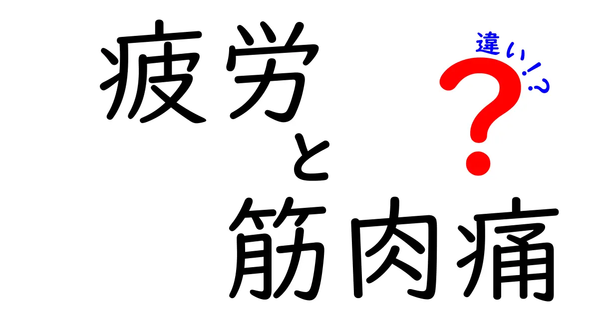 疲労と筋肉痛の違いを徹底解説！あなたの体の状態を知ろう