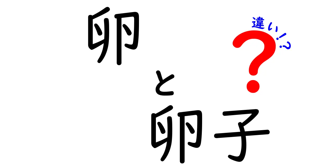 卵と卵子の違いを徹底解説！知っておきたい基礎知識