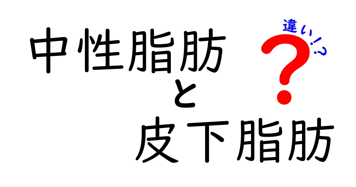 中性脂肪と皮下脂肪の違いを知ろう！健康に与える影響とは？