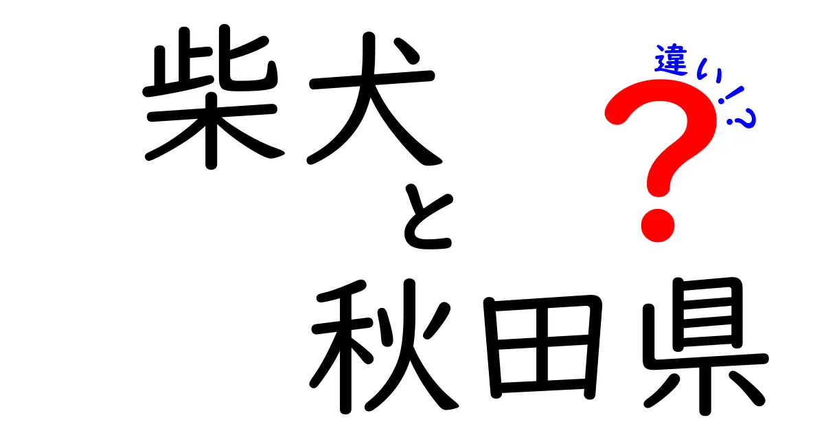 柴犬と秋田犬の違いとは？秋田県の犬種を徹底解説