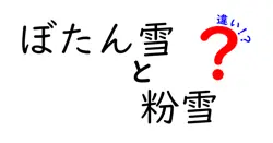 ぼたん雪と粉雪の違いを知ろう！雪の種類の魅力を探る