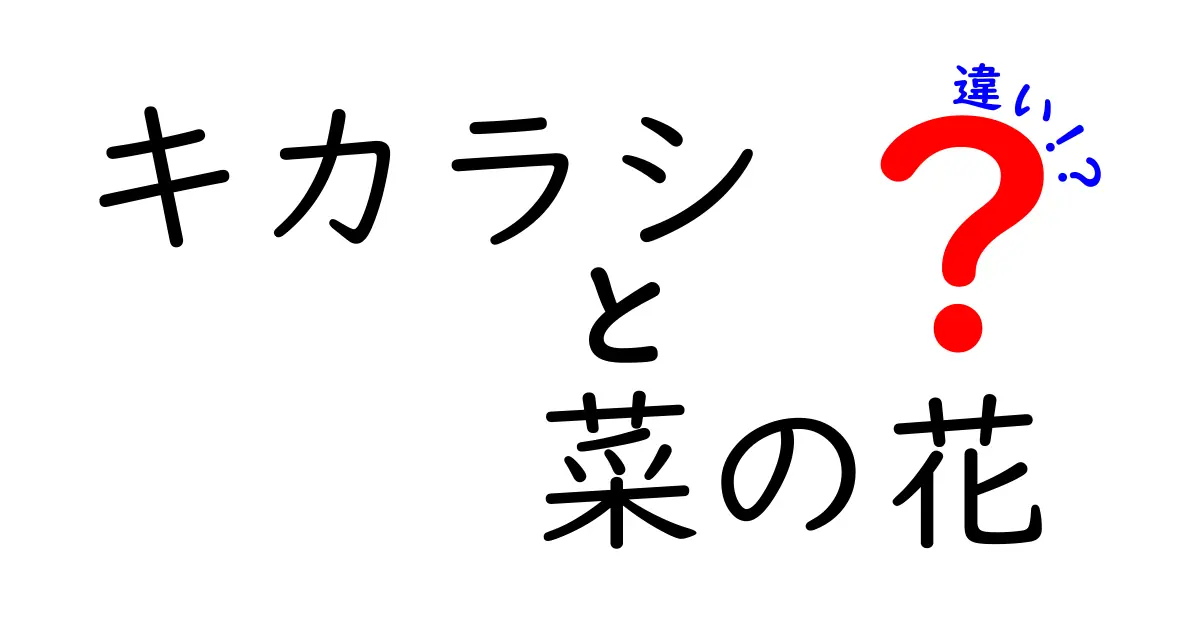 キカラシと菜の花の違いを徹底解説！あなたは知ってた？