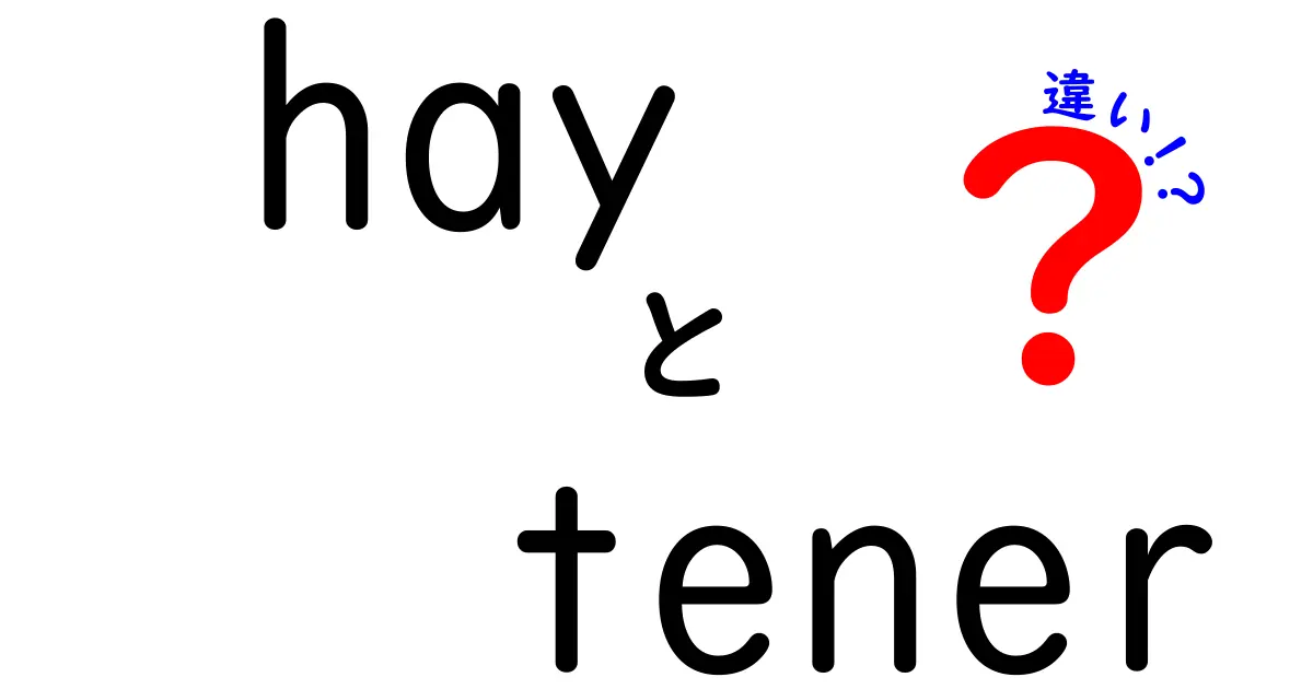 「hay」と「tener」の違いを徹底解説！スペイン語学習者必見！